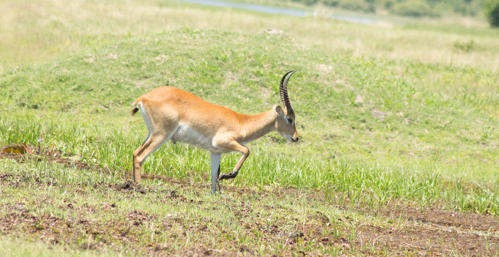 Five-Day Safari - Mababe Depression & Khwai Concession 